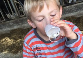 Schoolklassen op boerderij educatie