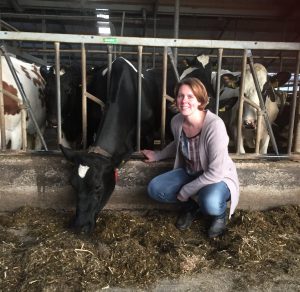 Lisanne Oskam met een koe op ons melkveebedrijf